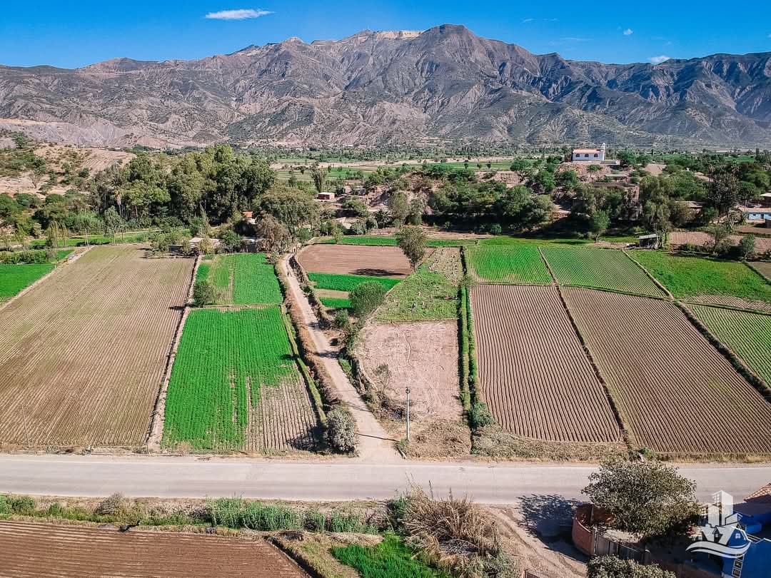 Agricultural surroundings of the Irpa Irpa land with main avenue, crops and mountains