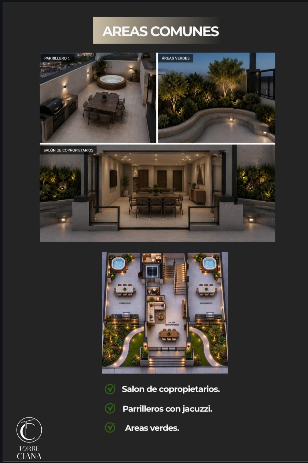 Terrace, barbecue areas, co-owners lounge and green areas at Torre Ciana